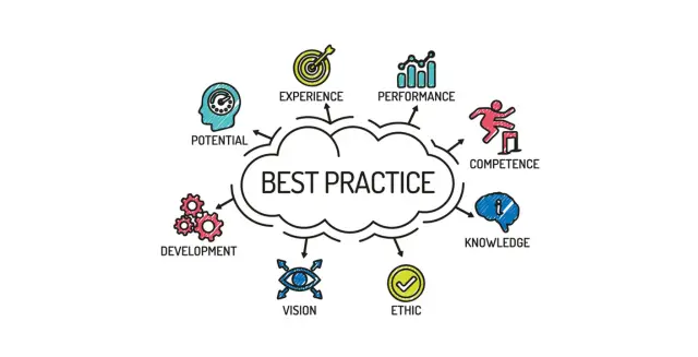 Best Practices in Software Development and Consulting